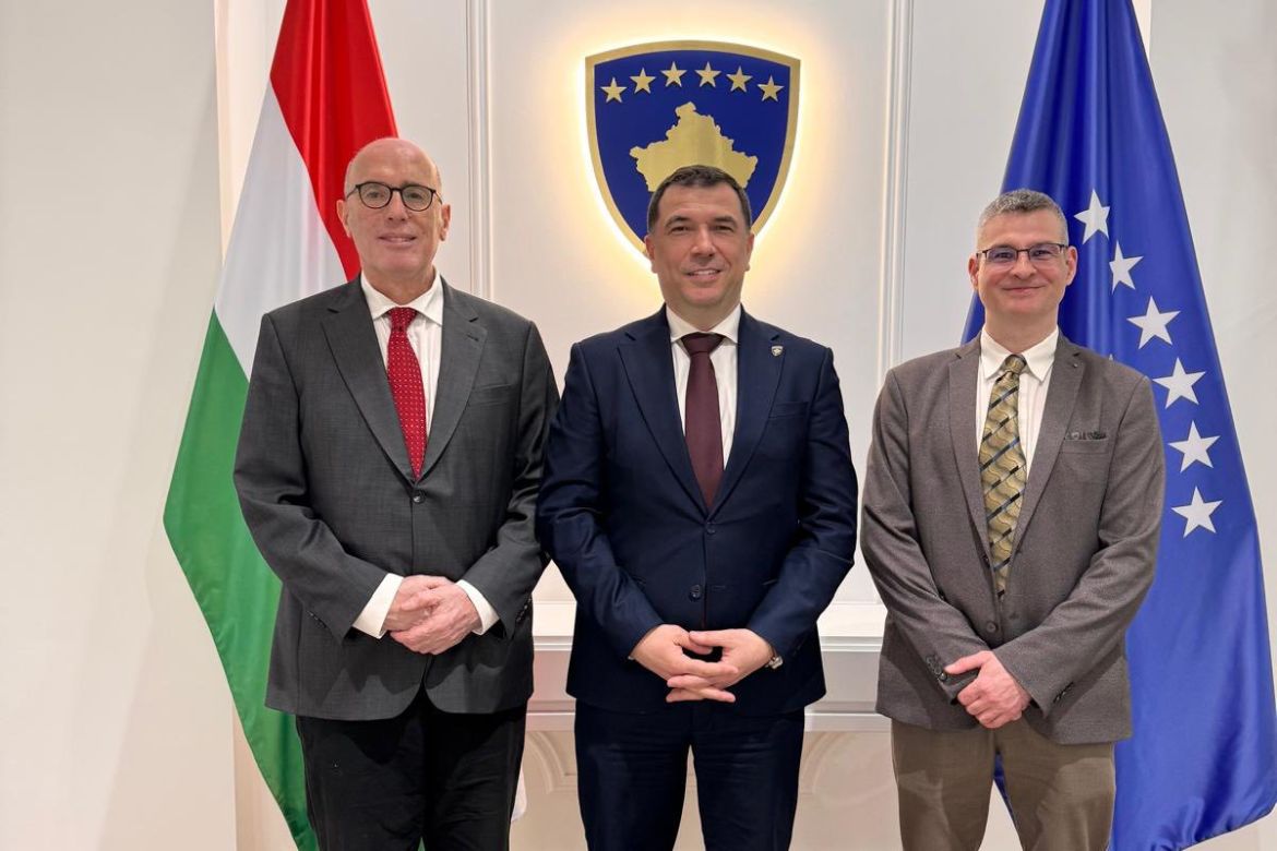 (Inter)national State-building Experiences in the Balkans (1878–2026): The cases of Albania, Bosnia and Herzegovina, and Kosovo | Workshop 